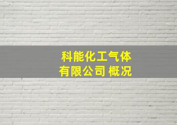 科能化工气体有限公司 概况